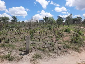 Shamba La Ekari 3 Linauzwa Kiwangwa Msinune