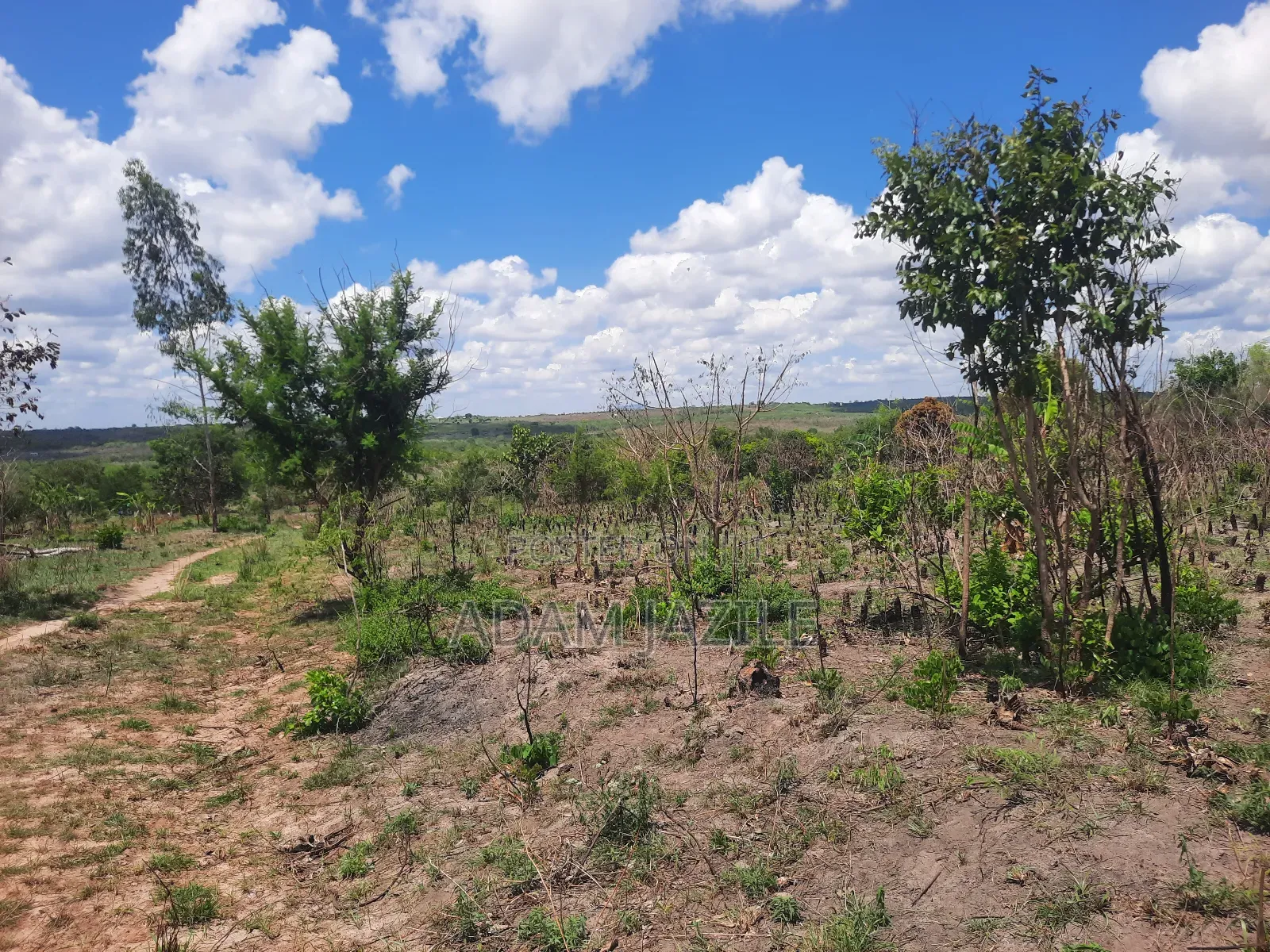 Shamba La Ekari 3 Linauzwa Kiwangwa Msinune