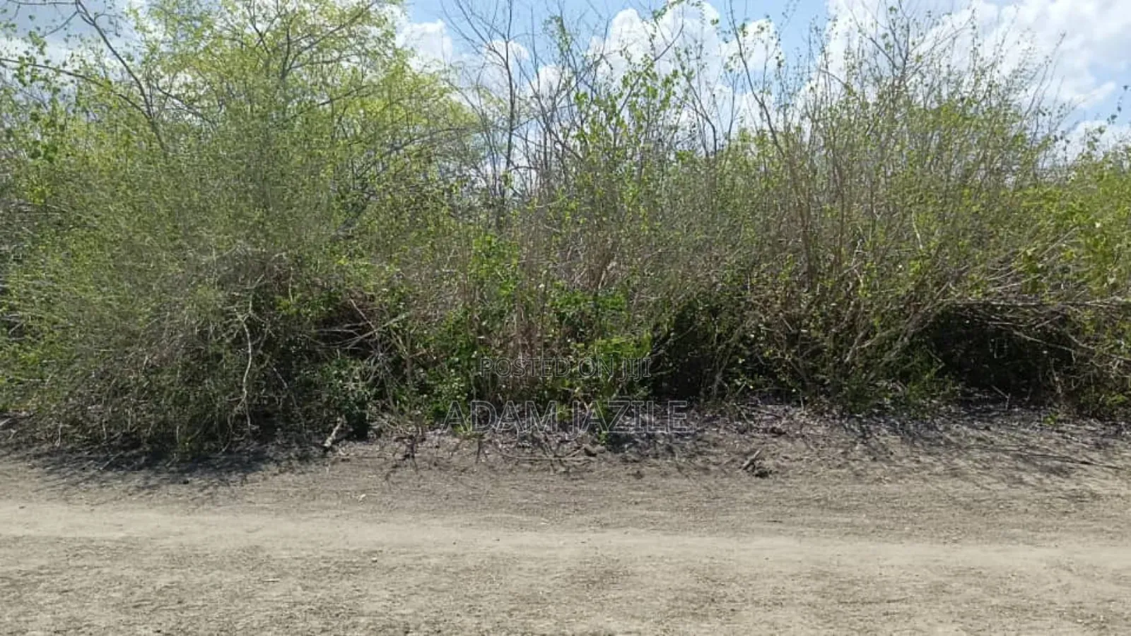 Shamba LA Ekari 600 Linauzwa Bagamoyo