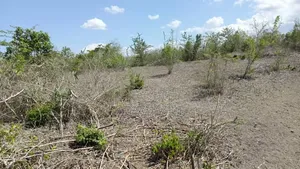 Shamba LA Ekari 600 Linauzwa Bagamoyo