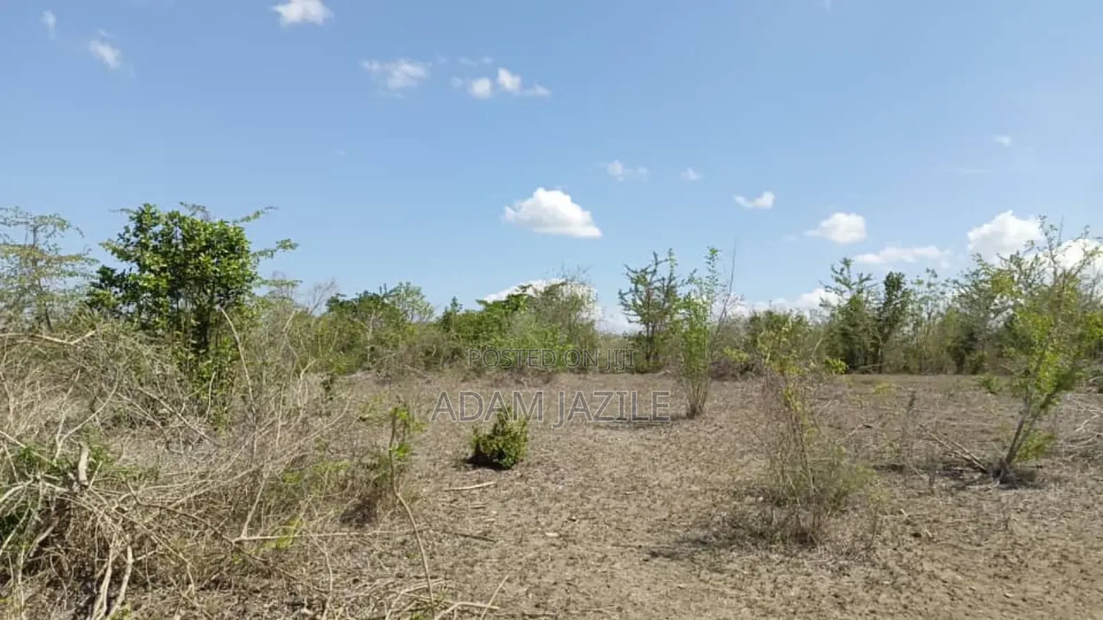 Shamba LA Ekari 600 Linauzwa Bagamoyo