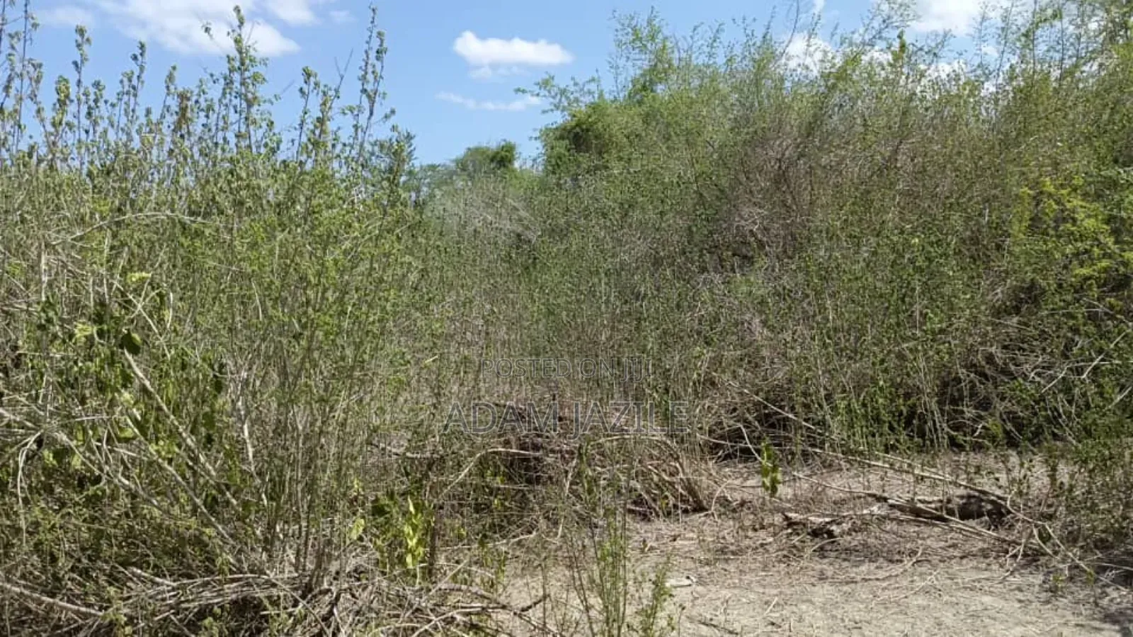 Shamba LA Ekari 600 Linauzwa Bagamoyo