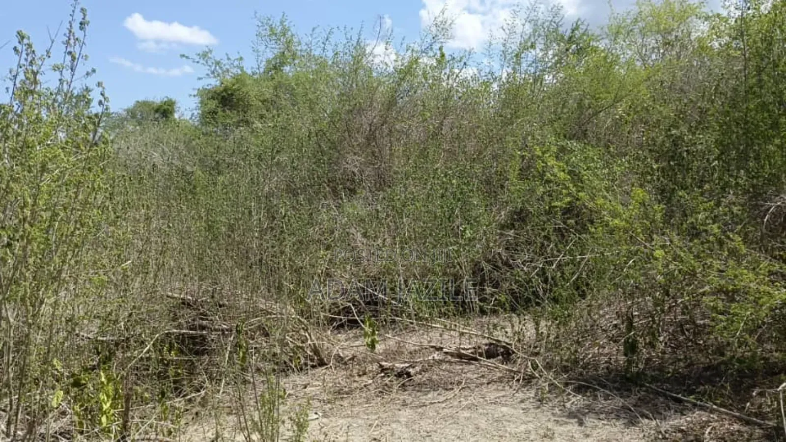 Shamba LA Ekari 600 Linauzwa Bagamoyo