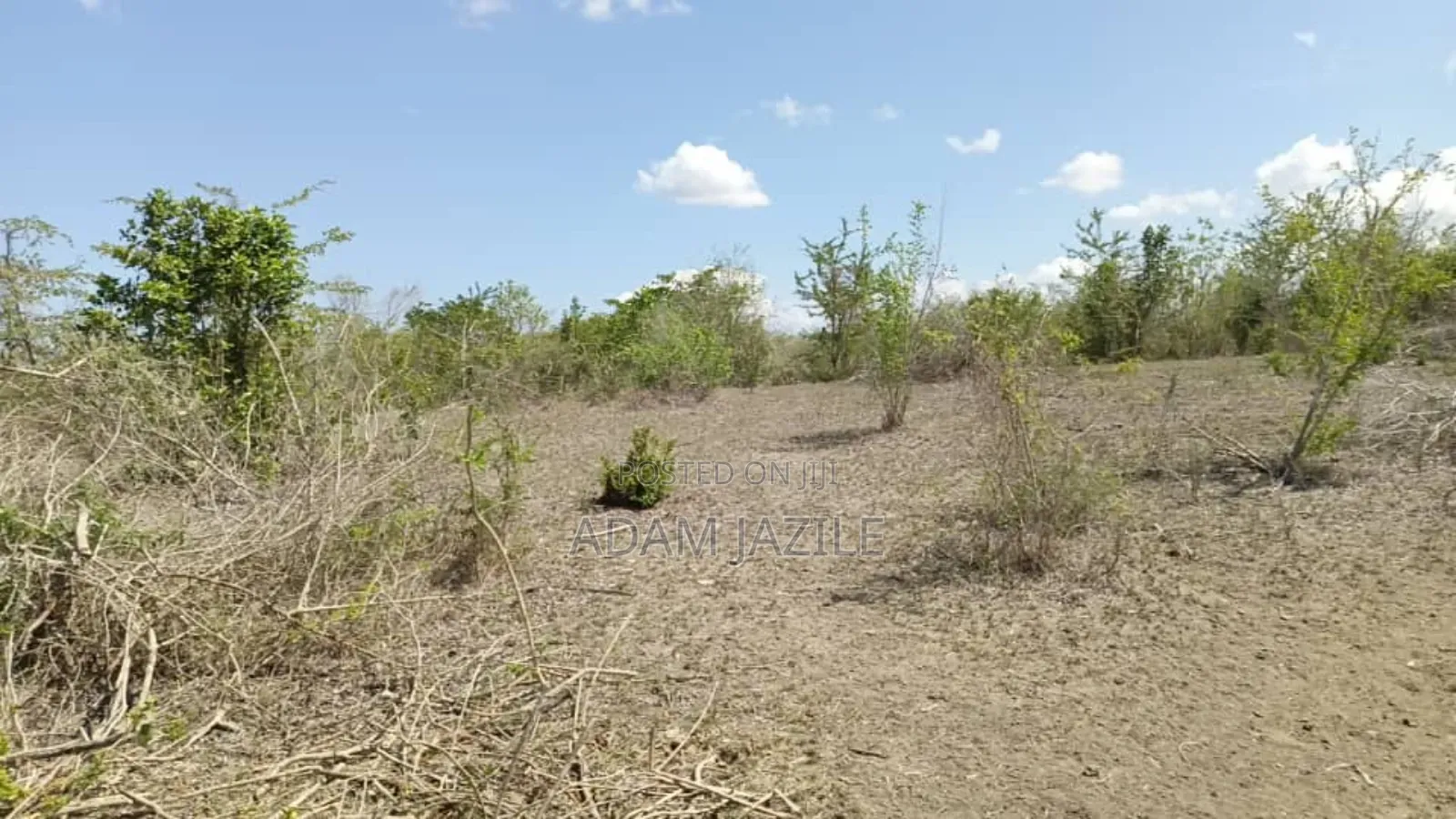 Shamba LA Ekari 600 Linauzwa Bagamoyo