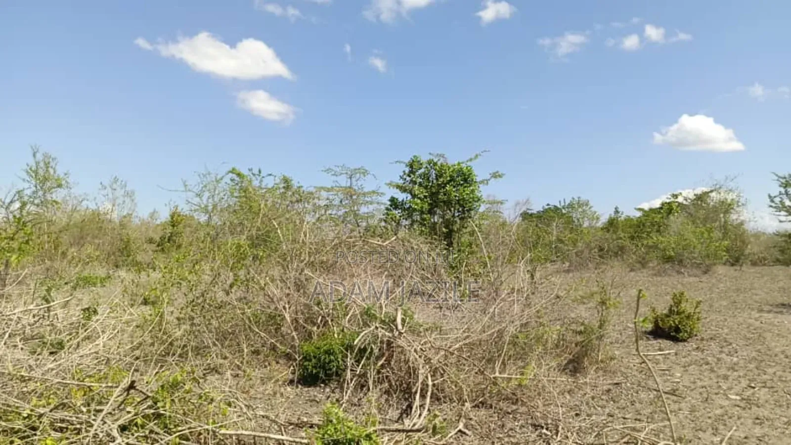 Shamba LA Ekari 600 Linauzwa Bagamoyo
