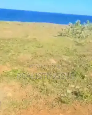 Kigamboni: Ocean Front Commercial Beach Plot for Sale - Dar