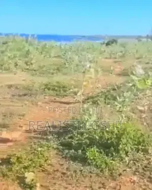 Kigamboni: Ocean Front Commercial Beach Plot for Sale - Dar