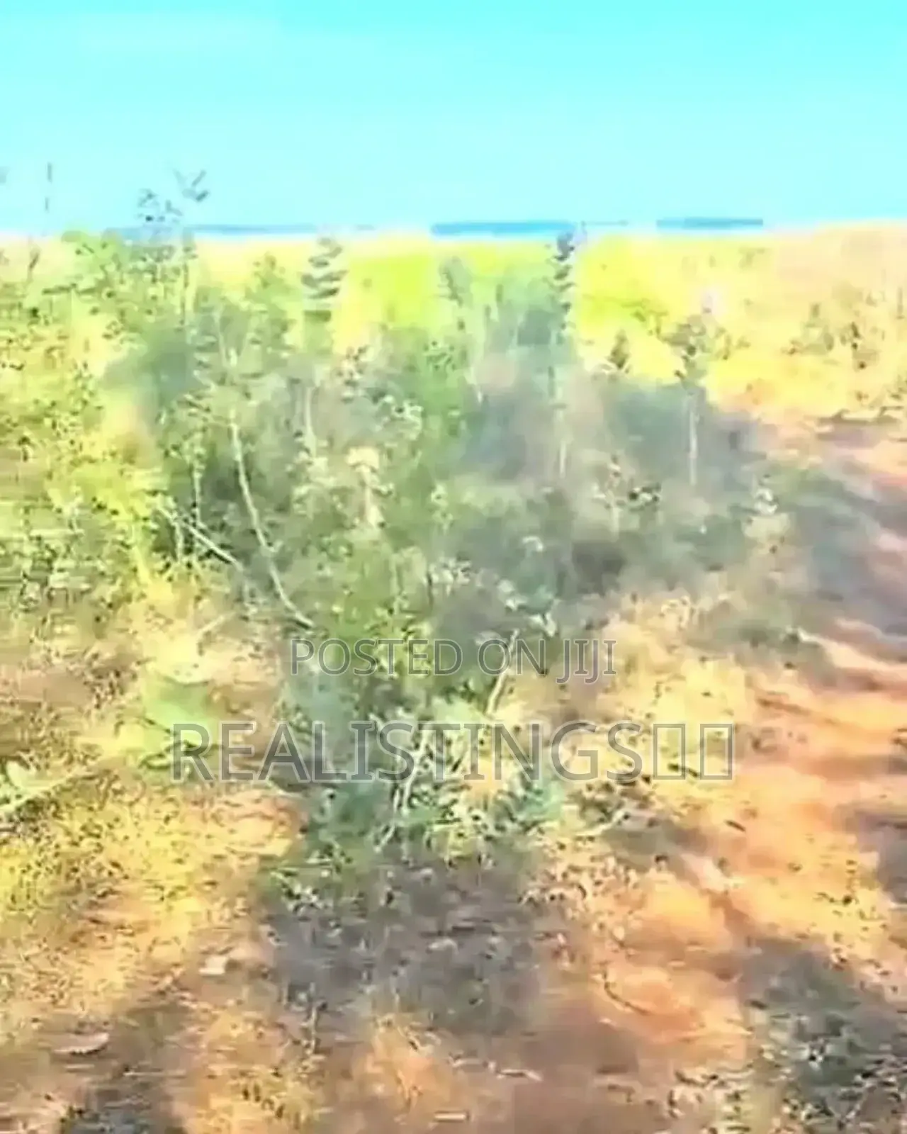 Kigamboni: Ocean Front Commercial Beach Plot for Sale - Dar