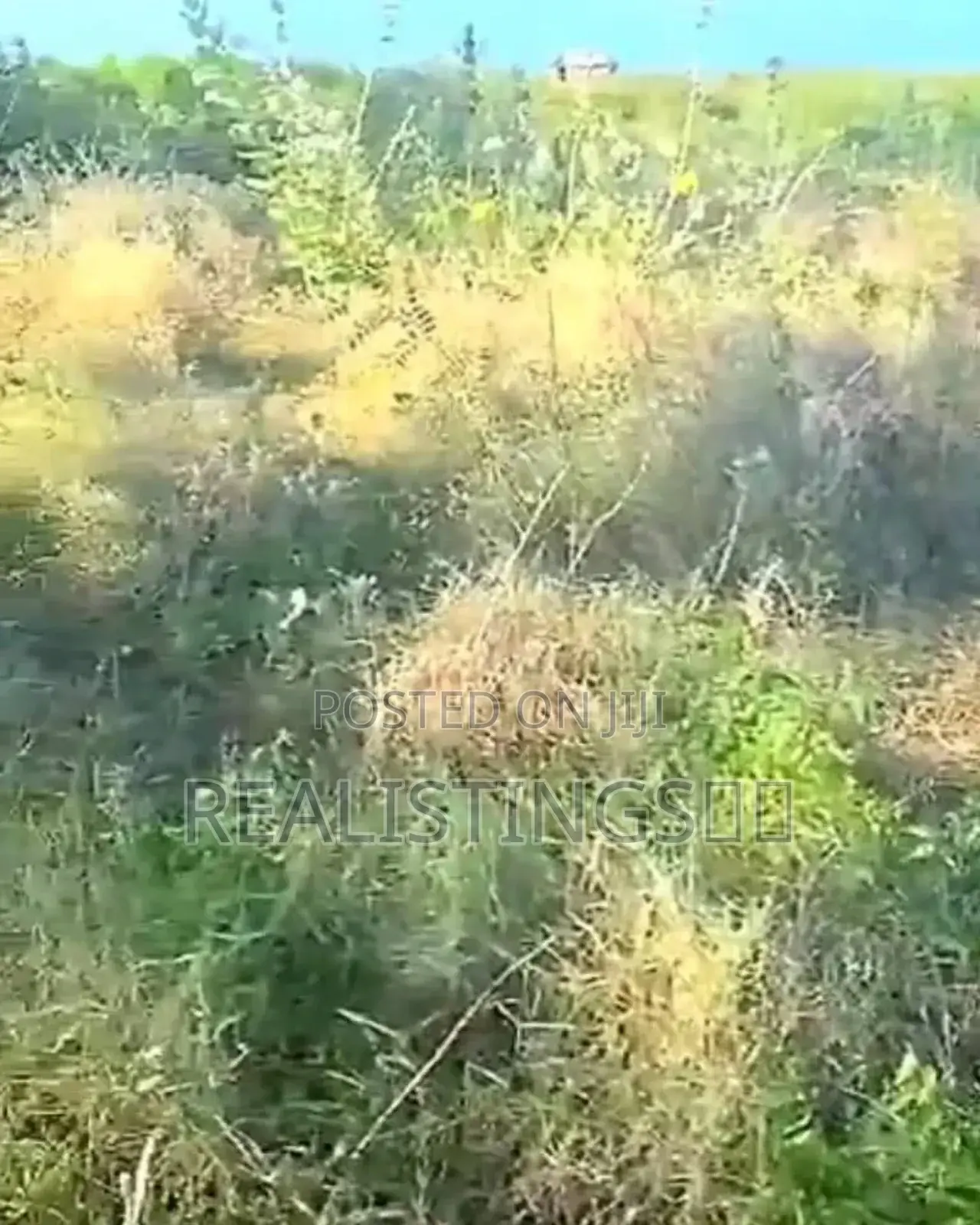 Kigamboni: Ocean Front Commercial Beach Plot for Sale - Dar