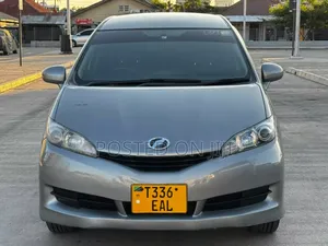 Toyota Wish 2011 Gray