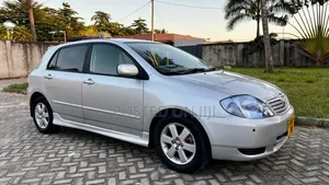 Toyota Allex 2005 Silver