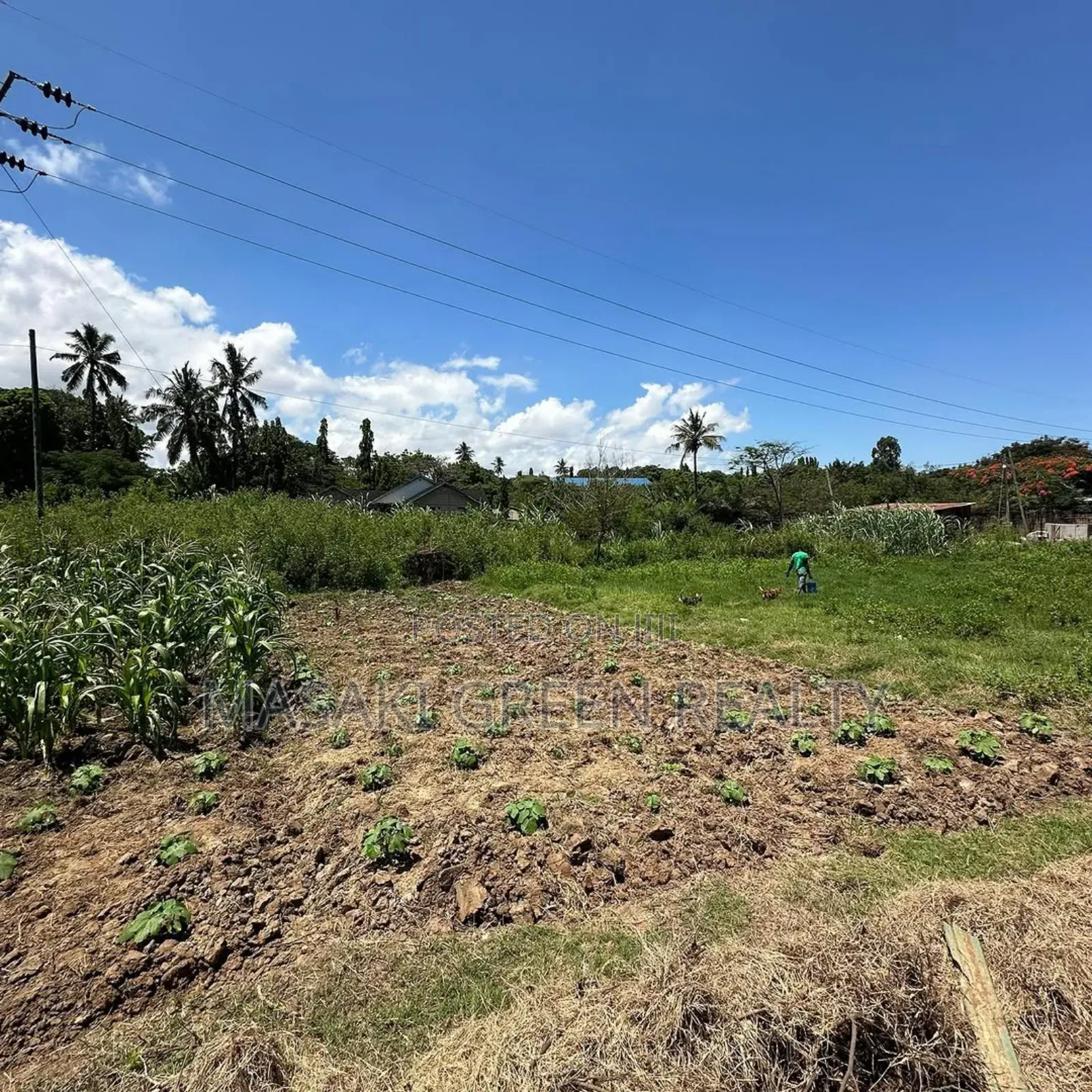 Plot for Sale at Salasala IPTL