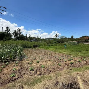 Plot for Sale at Salasala IPTL