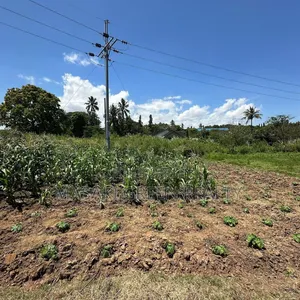 Plot for Sale at Salasala IPTL