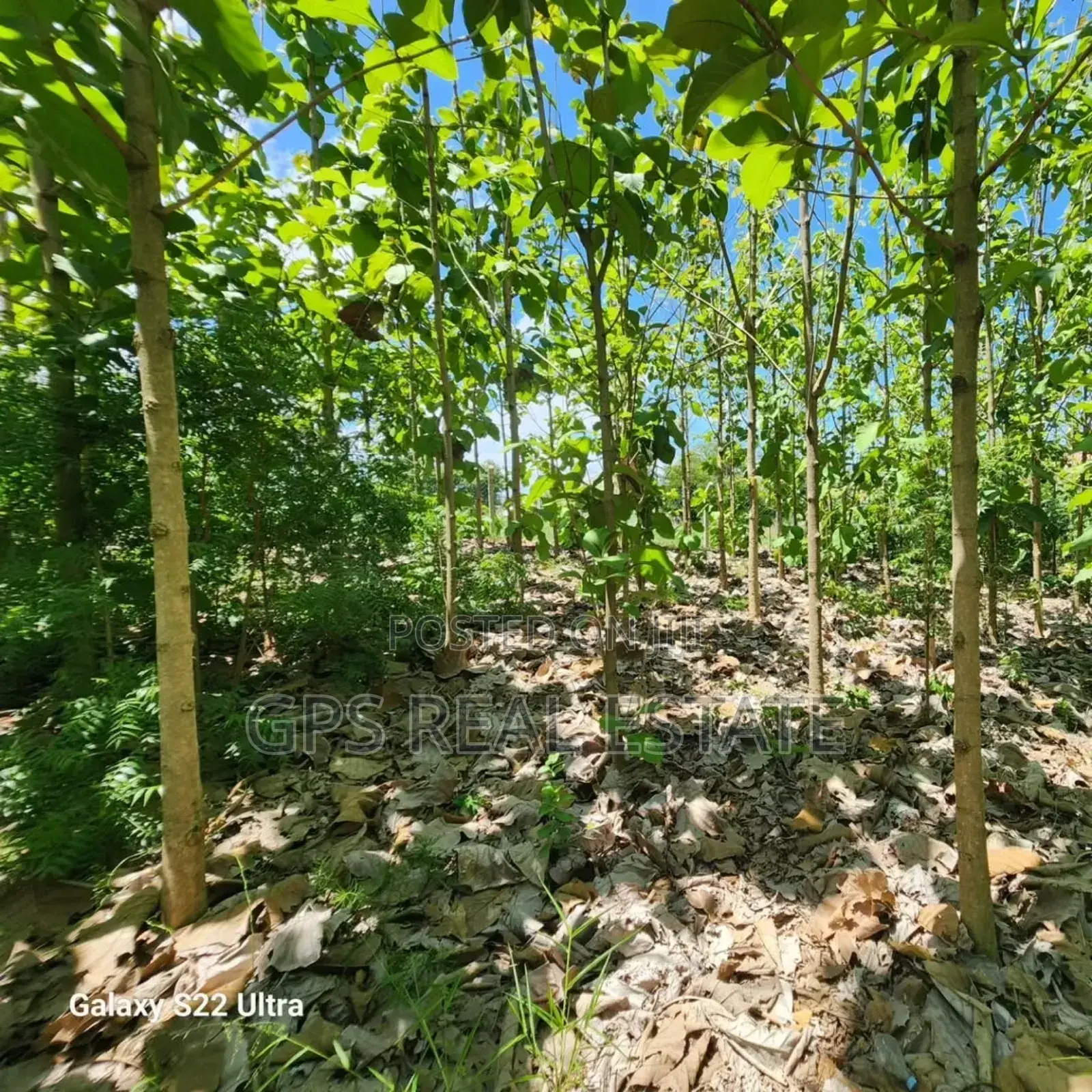 Plot for Sale at Salasala Kinzudi