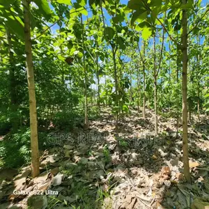 Plot for Sale at Salasala Kinzudi