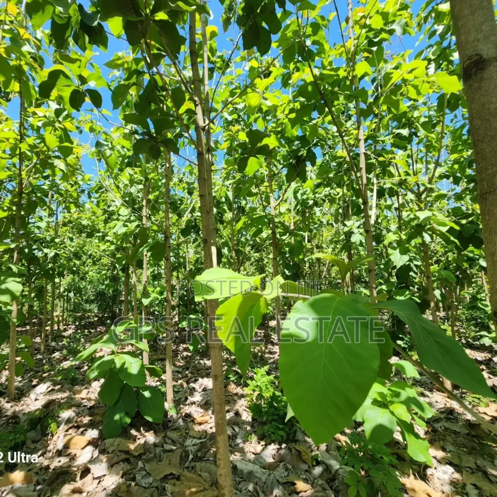 Plot for Sale at Salasala Kinzudi