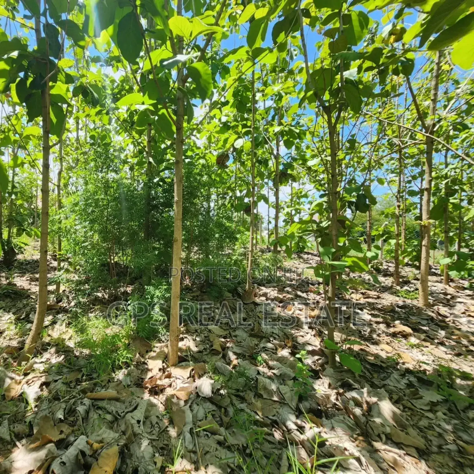 Plot for Sale at Salasala Kinzudi