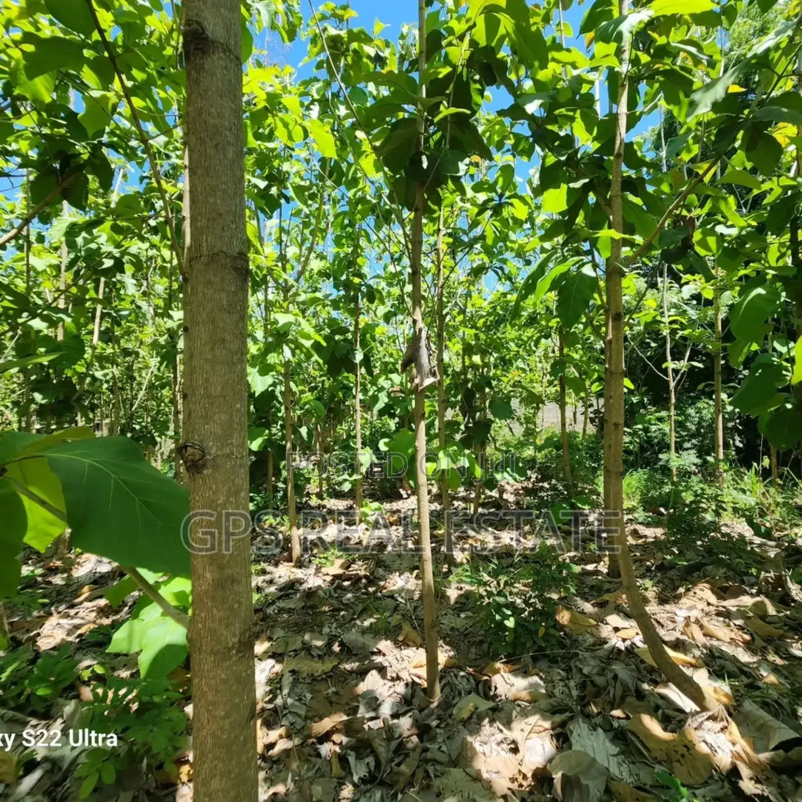 Plot for Sale at Salasala Kinzudi