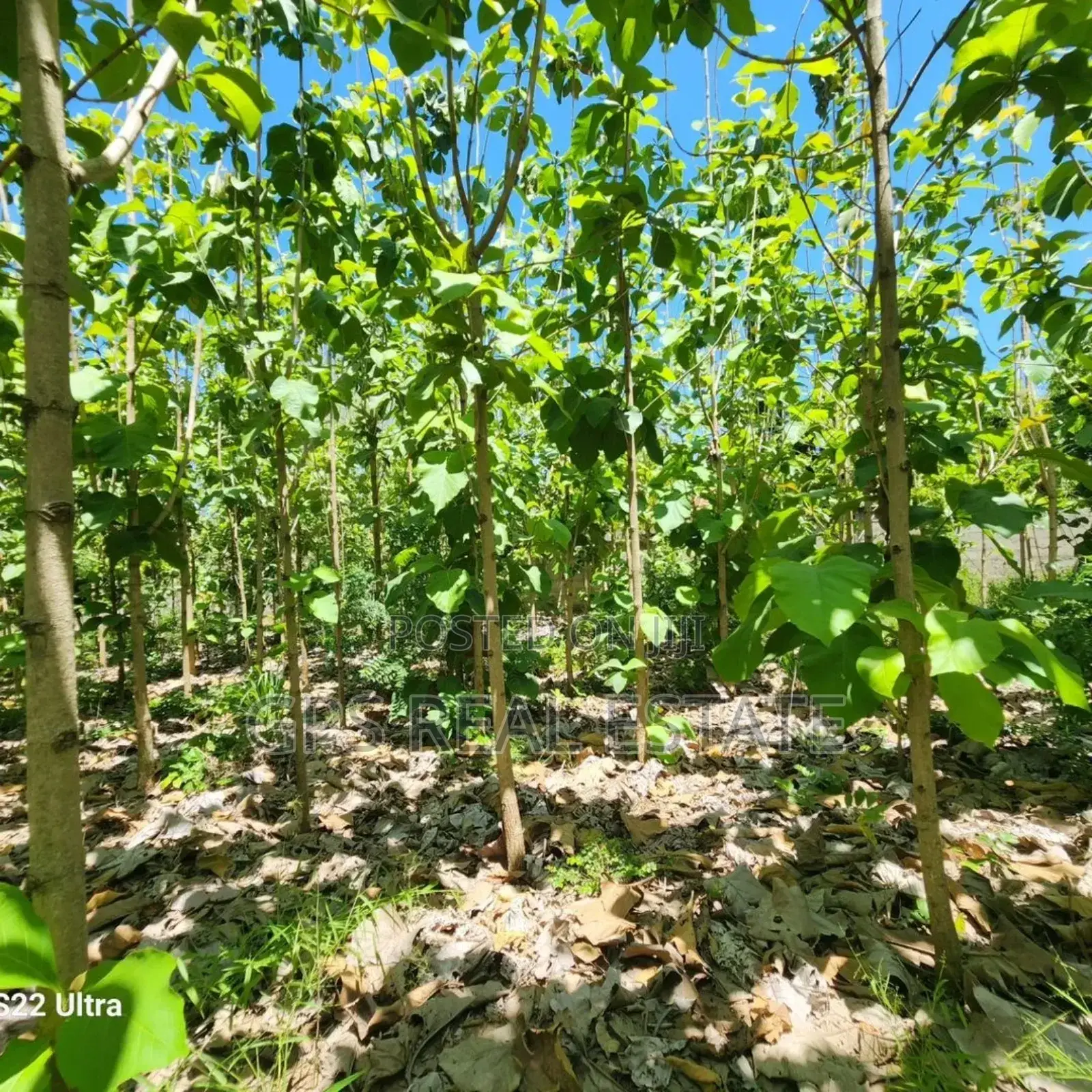 Plot for Sale at Salasala Kinzudi