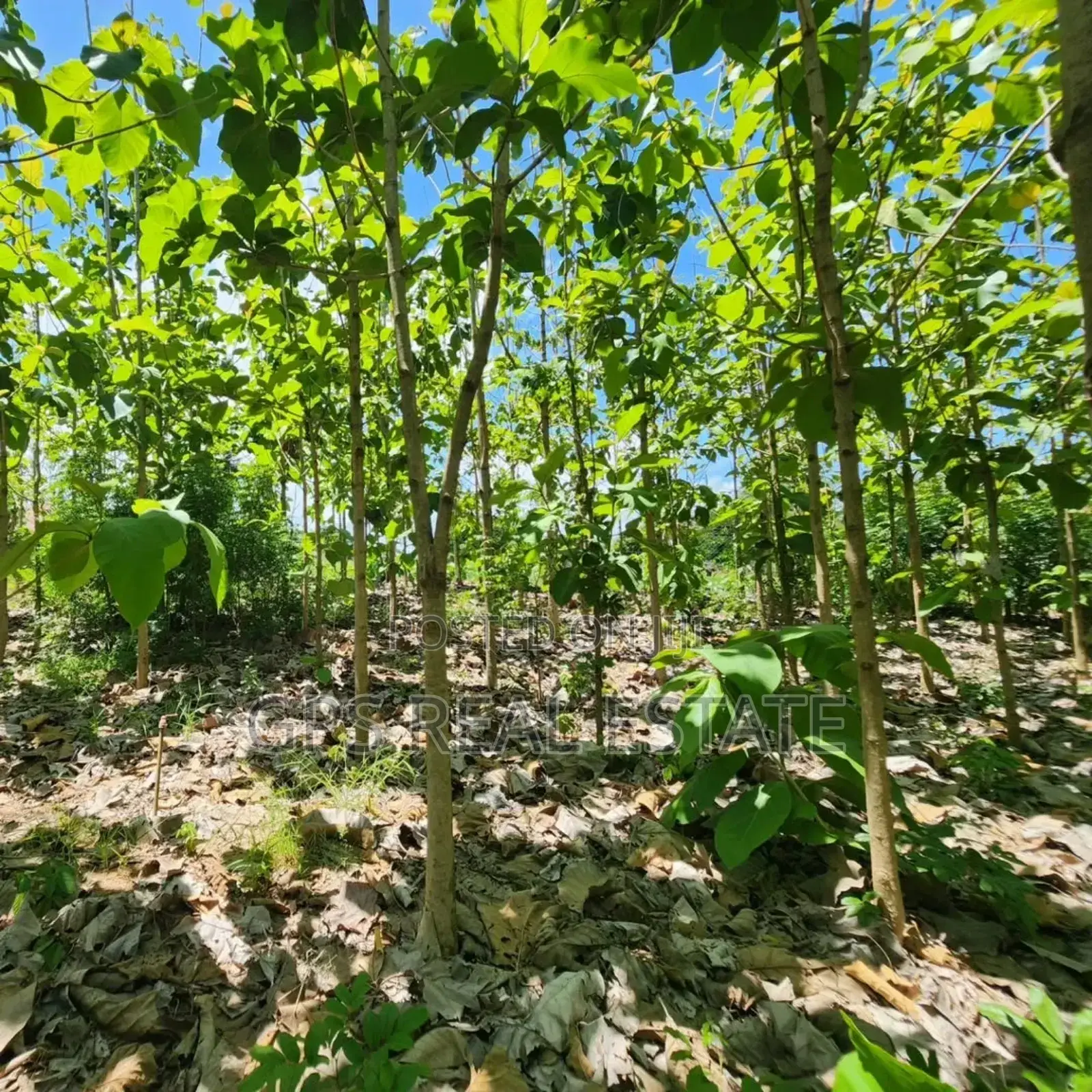 Plot for Sale at Salasala Kinzudi