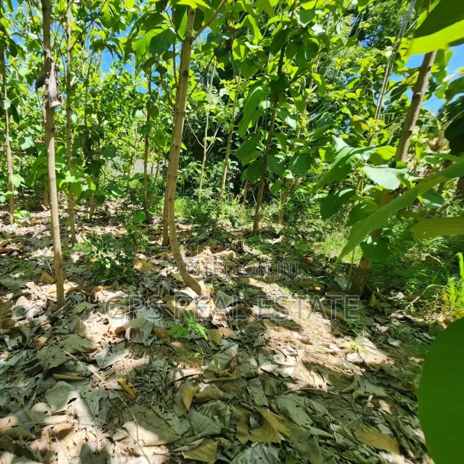 Plot for Sale at Salasala Kinzudi