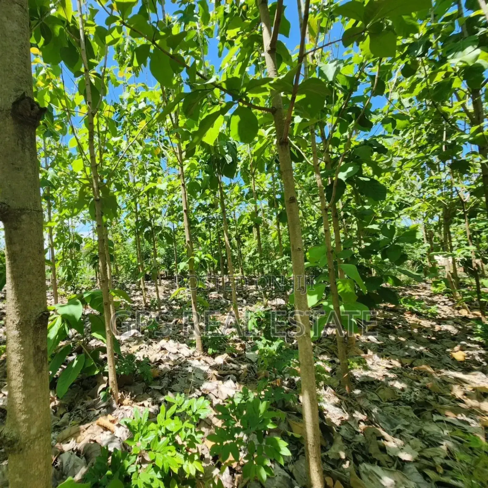 Plot for Sale at Salasala Kinzudi