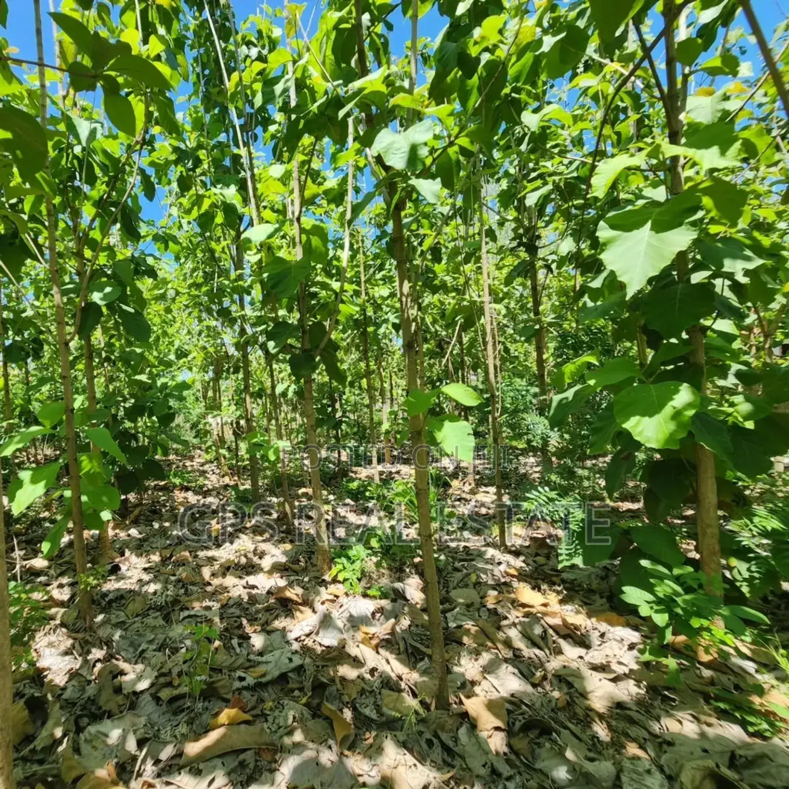 Plot for Sale at Salasala Kinzudi