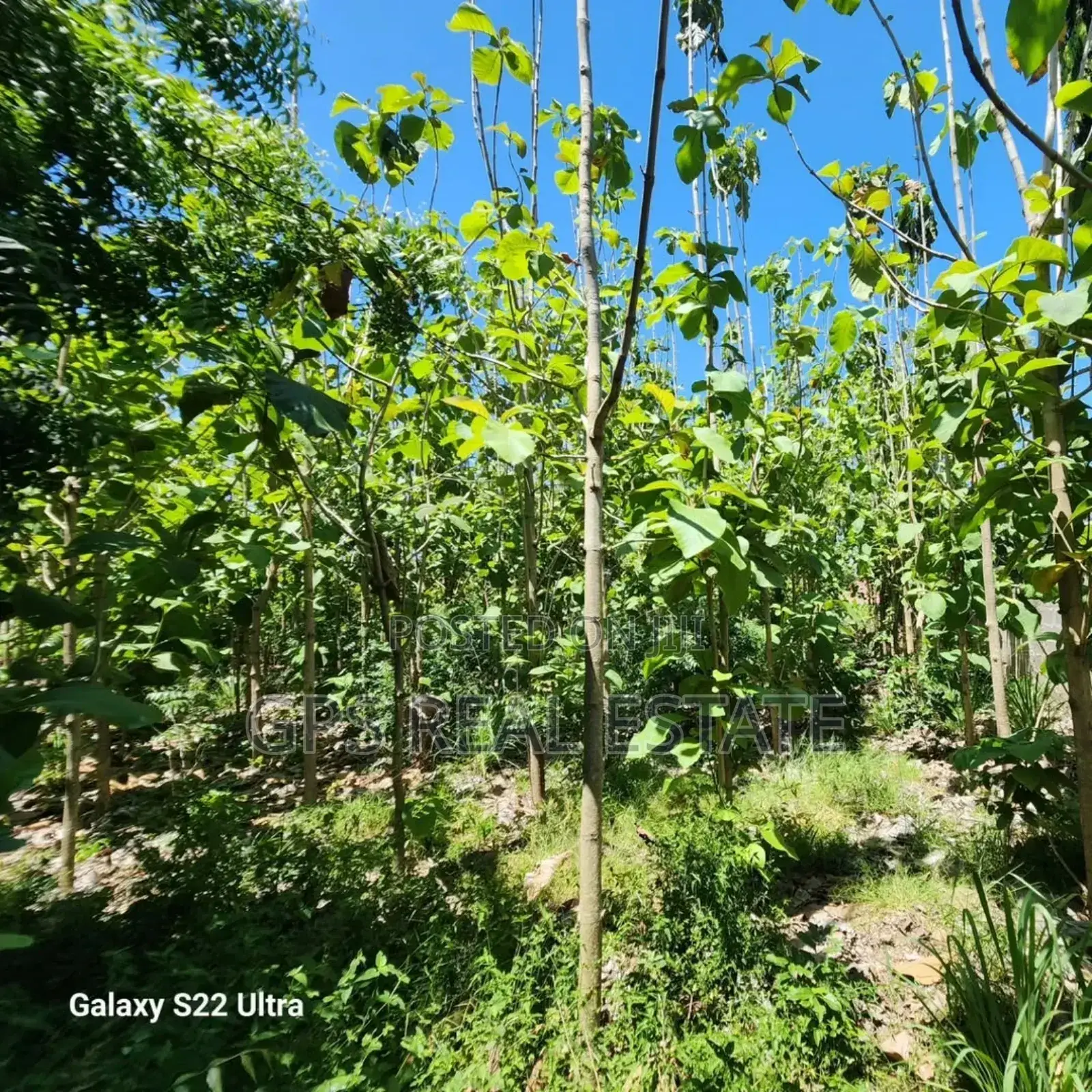 Plot for Sale at Salasala Kinzudi