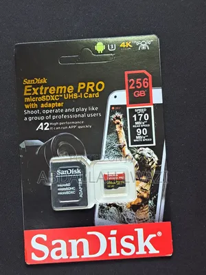 Sandisk 256gb