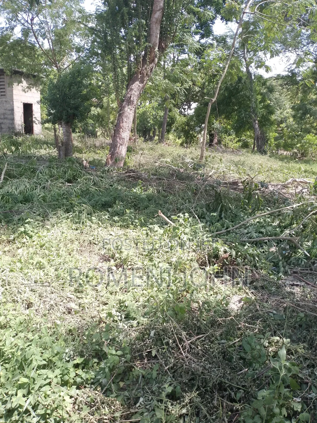 Eneo Lenye Sqmita 144 Linauzwa Milioni 3.6 Majohe Viwege.