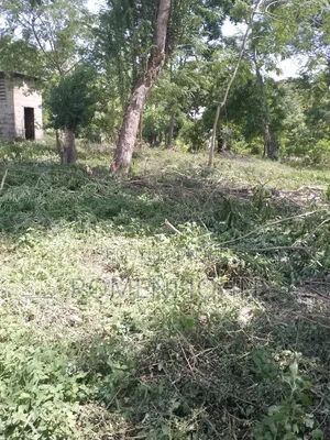 Eneo Lenye Sqmita 144 Linauzwa Milioni 3.6 Majohe Viwege.