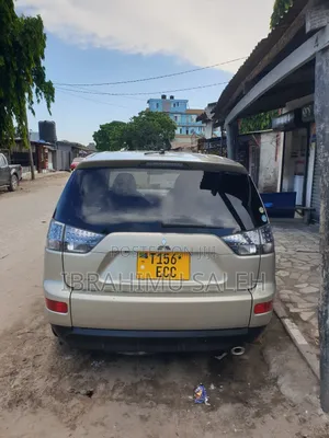 Mitsubishi Outlander 2010 Gold