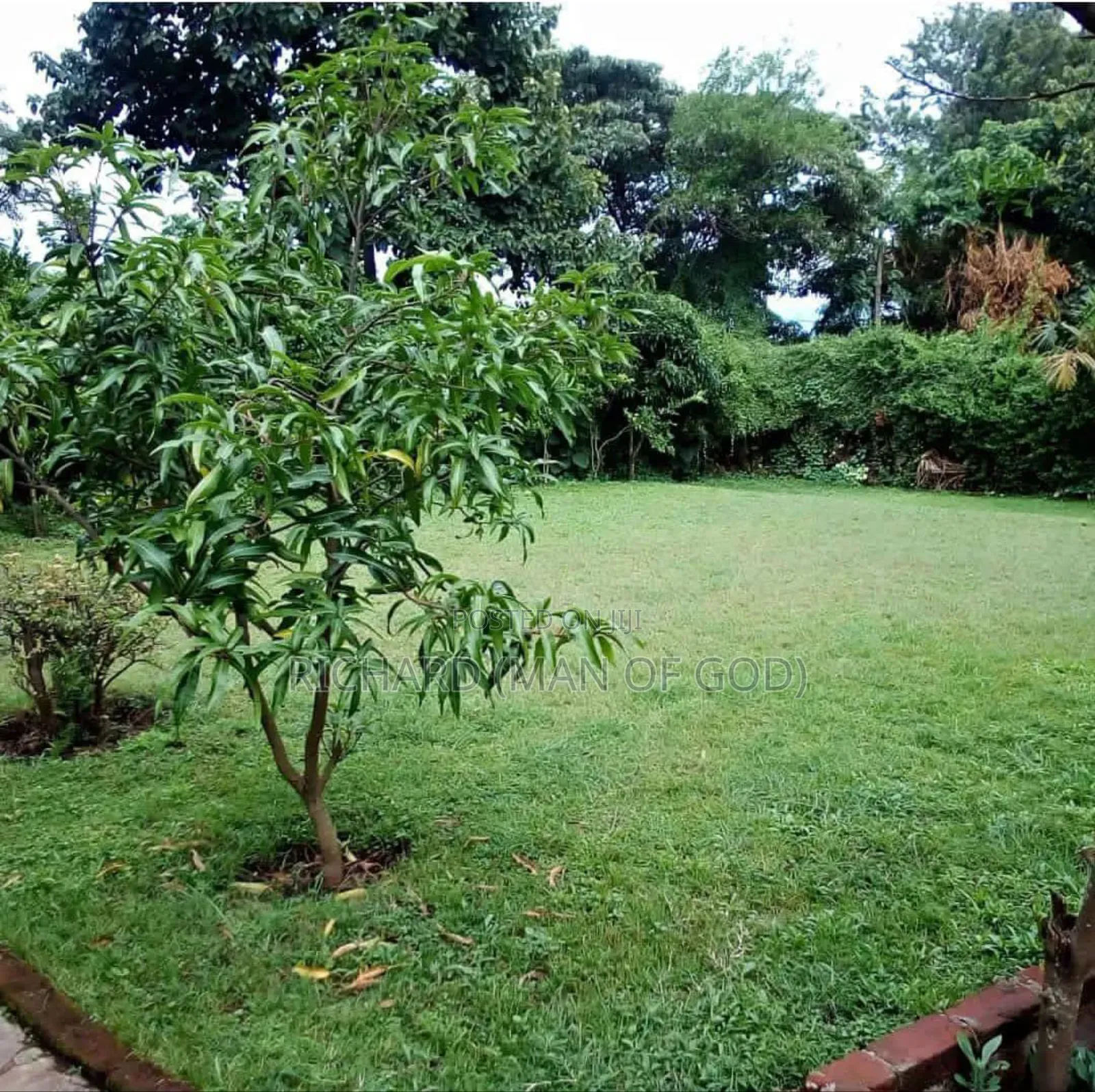 Furnished 5bdrm Bungalow in Arusha for rent