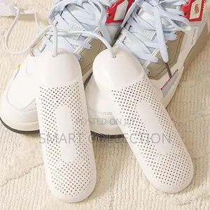 Electric Shoe Dryer