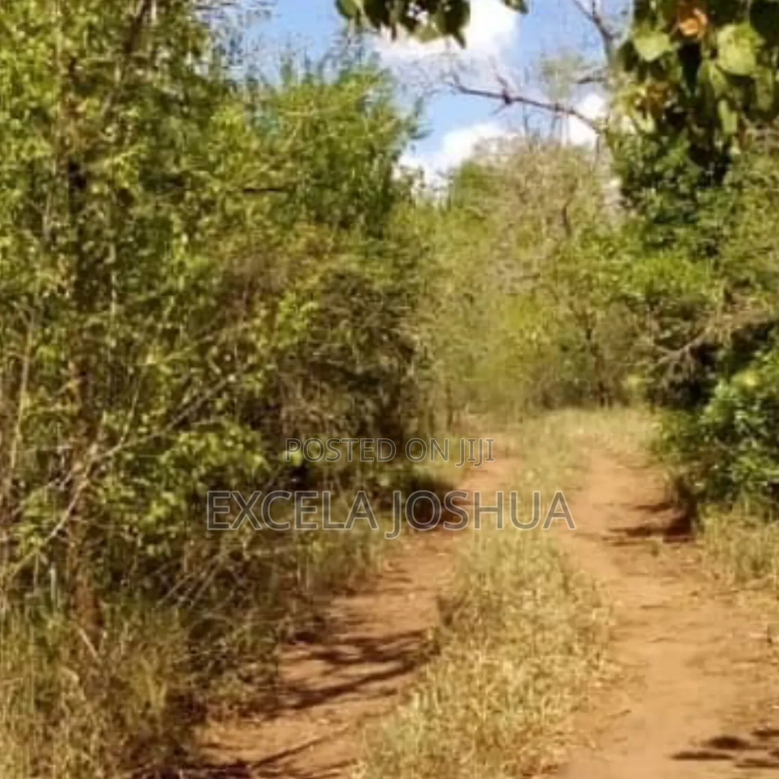 Shamba Ekari 50 Linauzwa Mbwewe Bagamoyo