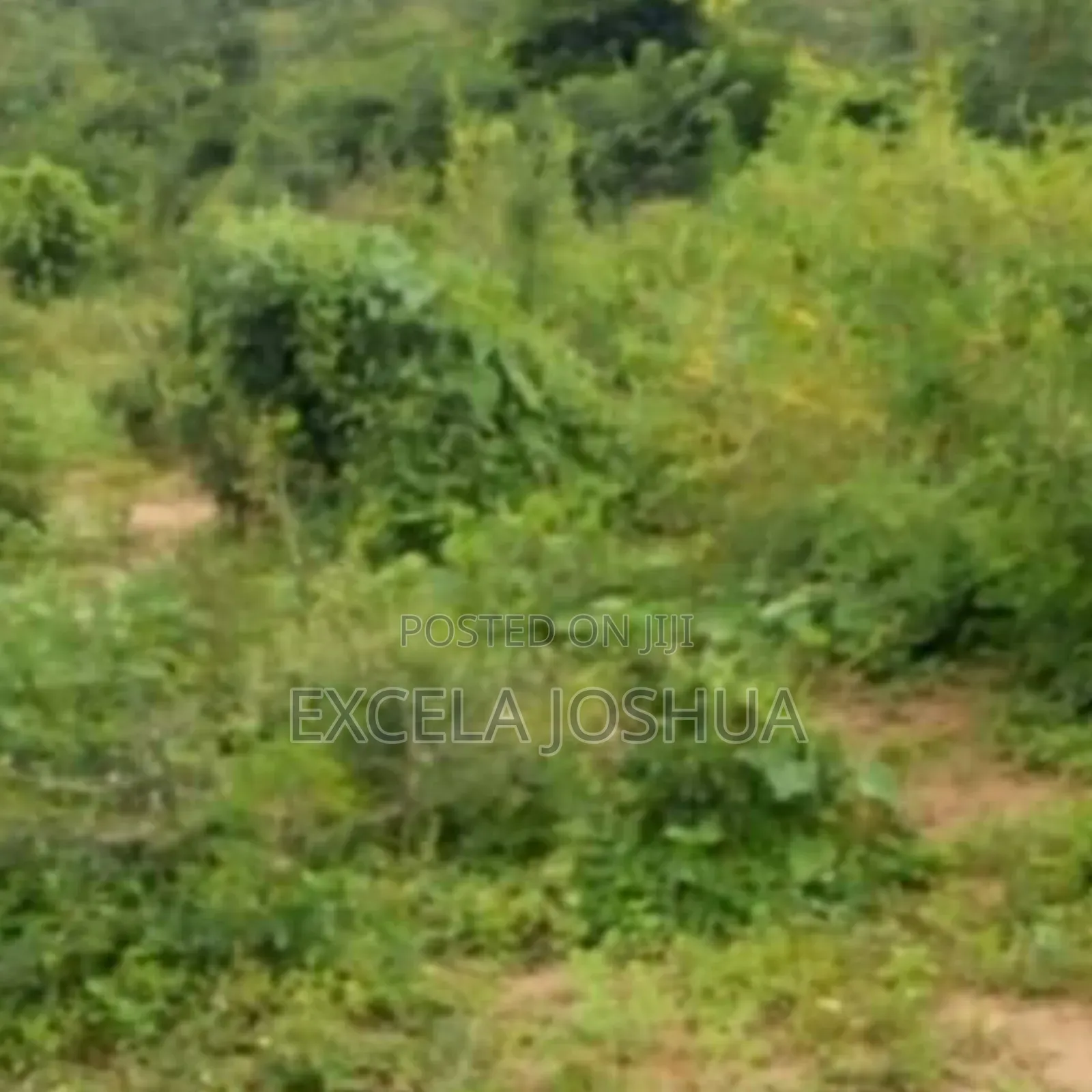 Shamba Ekari 50 Linauzwa Mbwewe Bagamoyo