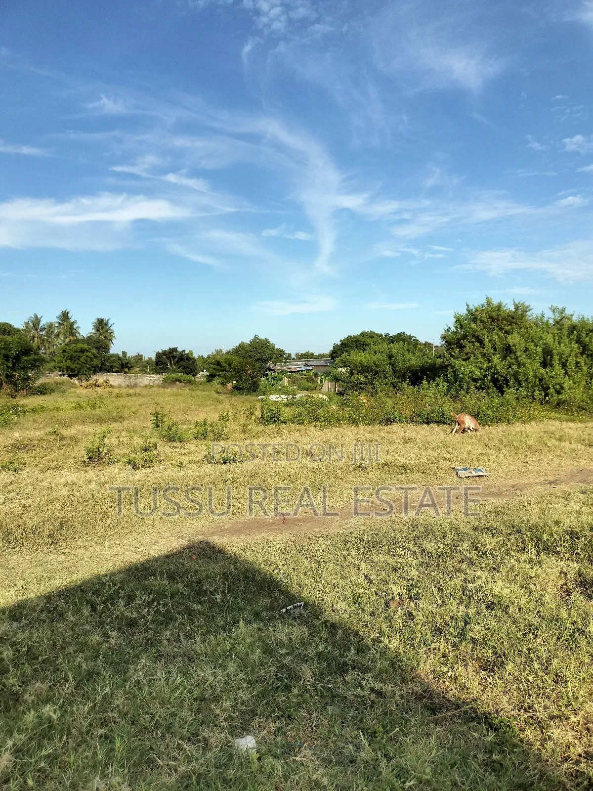 Industrial Plot Size for Sale Mbezibeach Jogoo
