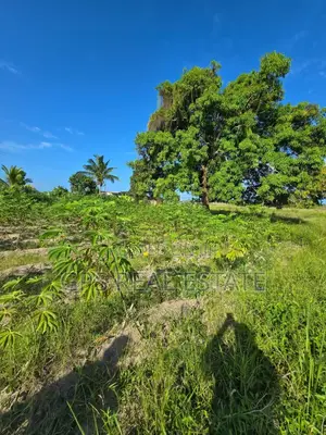 Plot for Sale at Bagamoyo Round About Msata