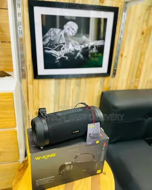 W-King D3 Pro Portable Speaker