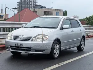 Toyota Allex 2003 Silver