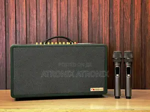 Nakamichi Amplifier Plus Kariokee