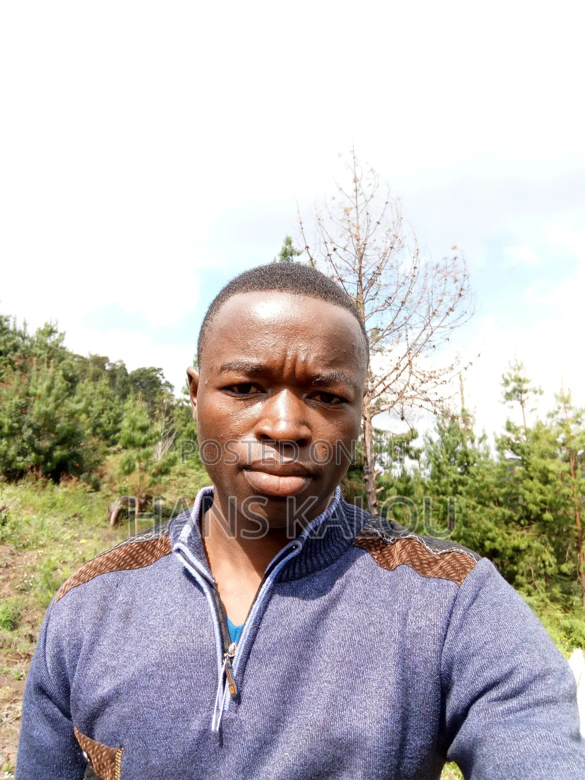 Hanzistin Michael Mlimakifi
