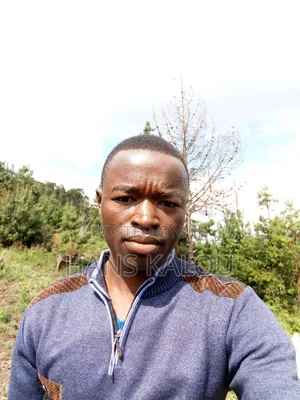 Hanzistin Michael Mlimakifi