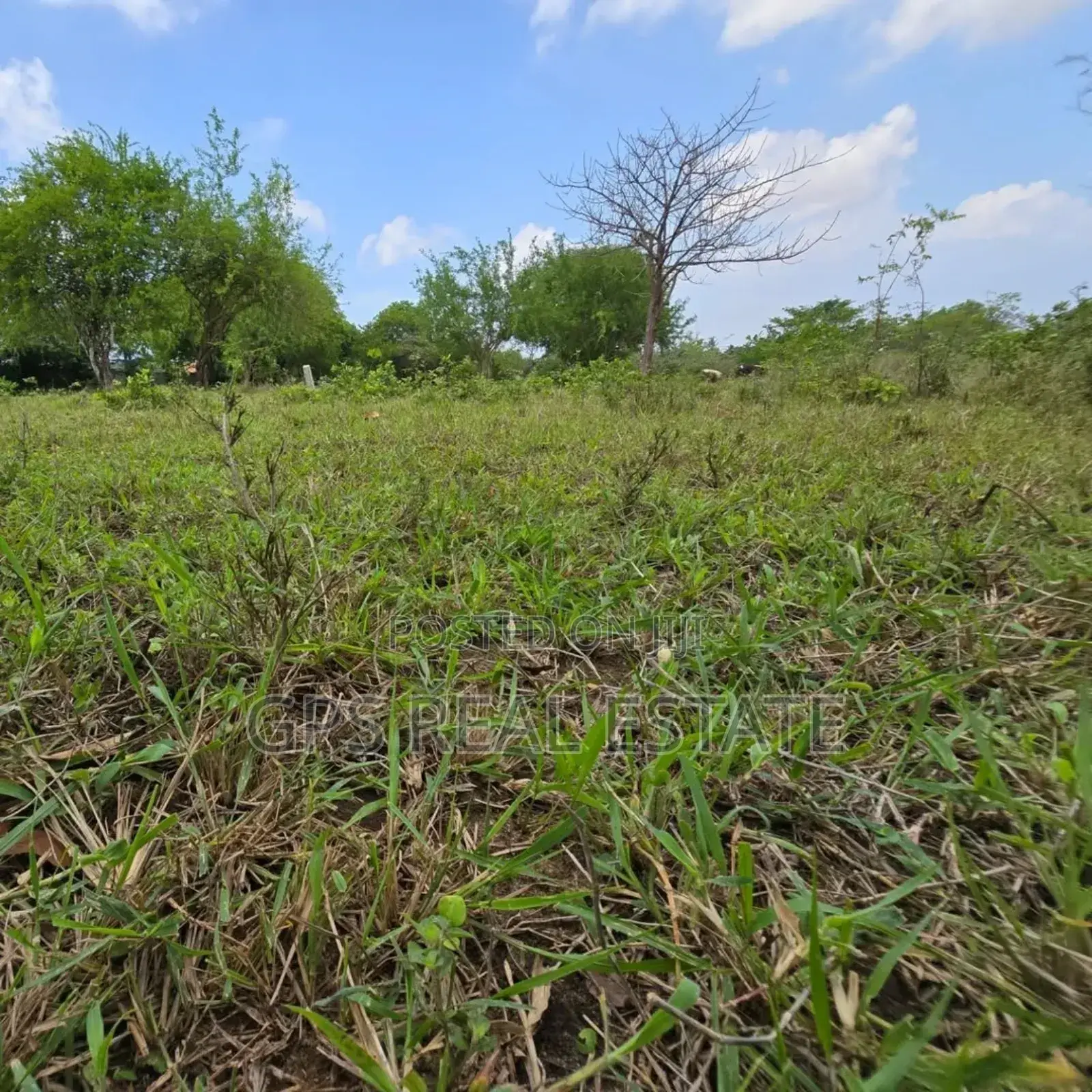Plot for Sale at Madale