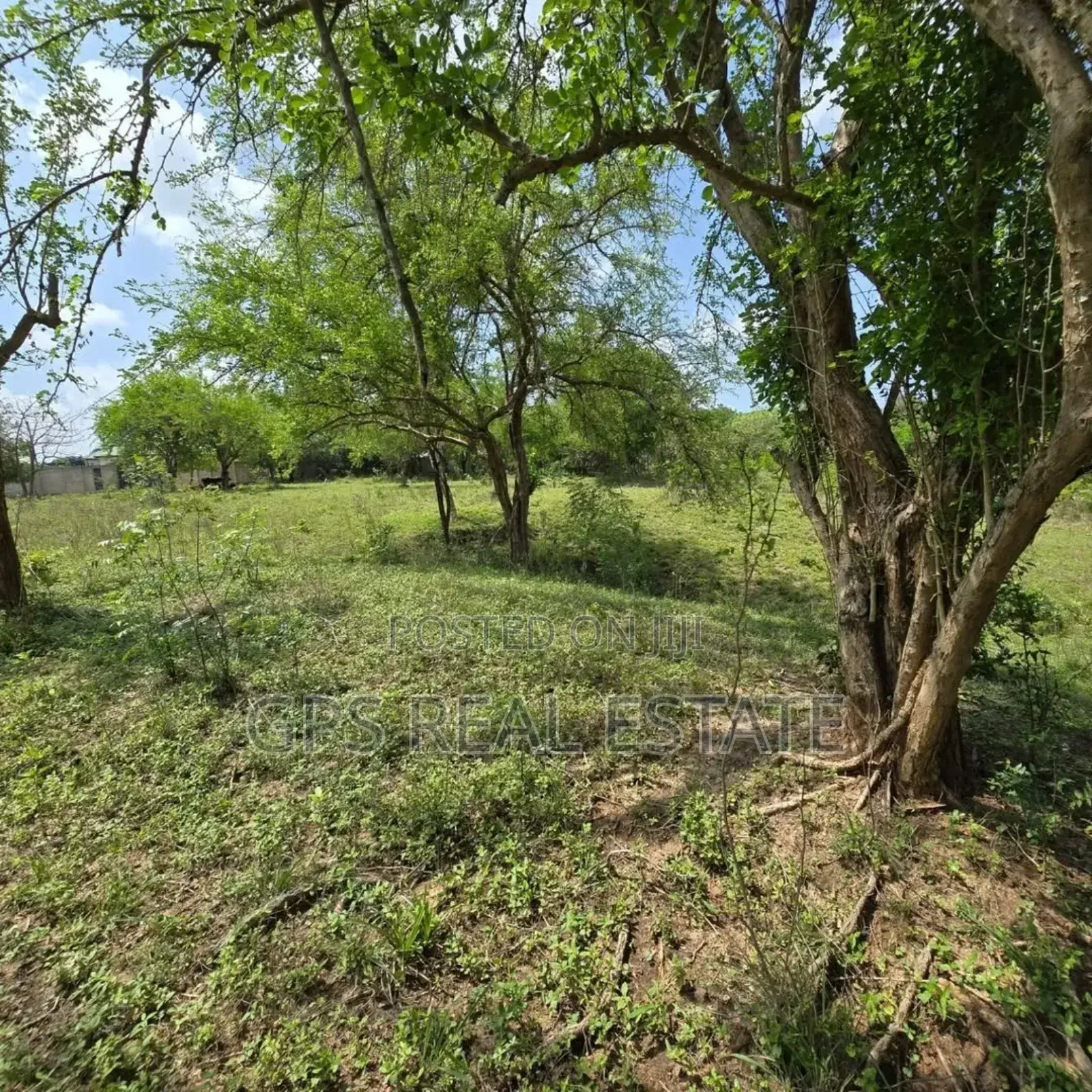 Plot for Sale at Madale