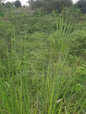 Eneo Linauzwa Lipo Kiwangwa Bagamoyo Pwani