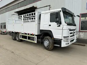 Ready to Order Used HOWO Cargo Truck for Sale