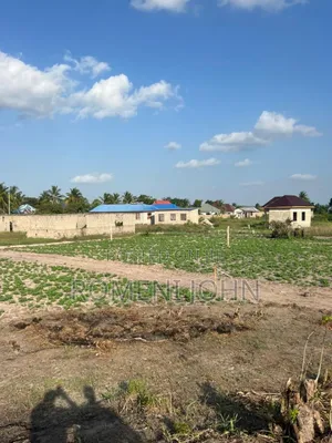 Kiwanja Chenye Sqmita 225 Kinauzwa Ml 3.4 Chanika Zingiziwa