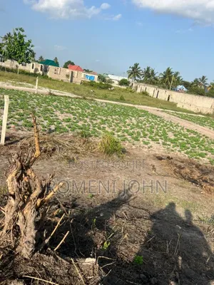 Kiwanja Chenye Sqmita 225 Kinauzwa Ml 3.4 Chanika Zingiziwa